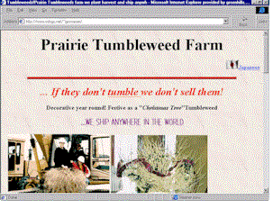prairie.gif (30173 bytes)
